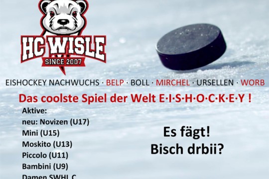 Flyer Hockeyschule 18_19.jpg